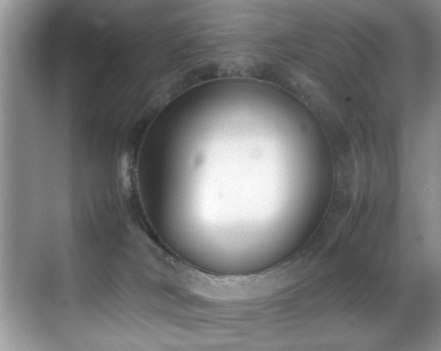 X0000070390038200606091203