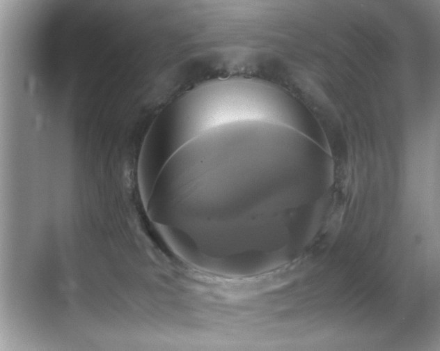 X0000070390039200606091203