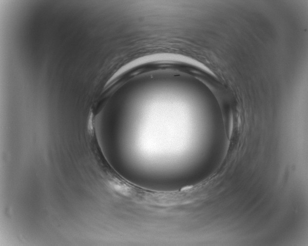 X0000070390041200606091203