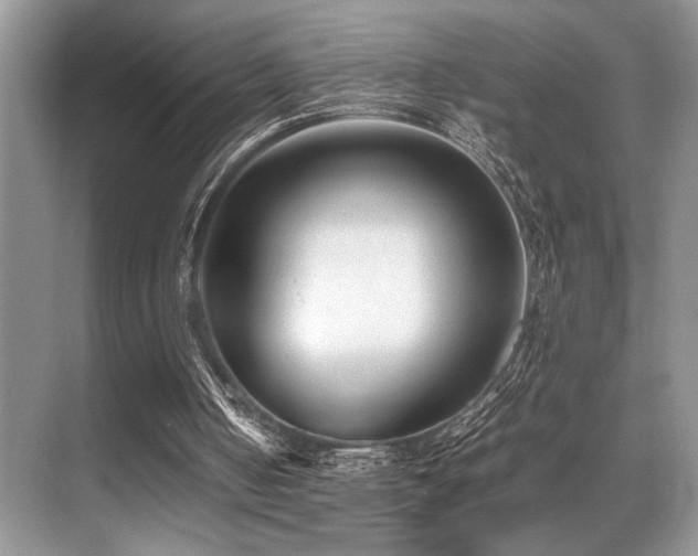 X0000070390050200606091202