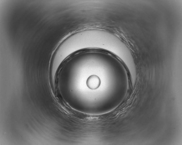 X0000070390052200606091202