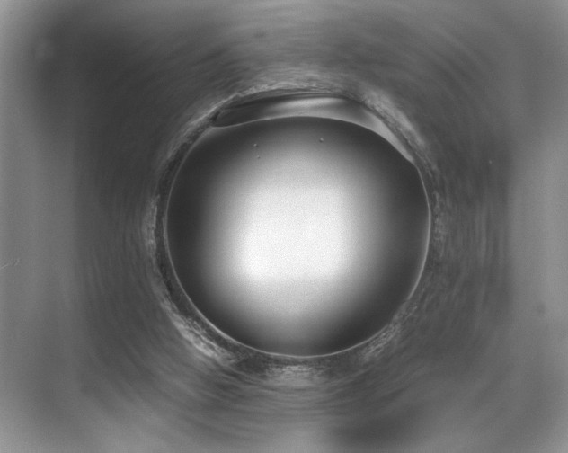 X0000070390058200606091202
