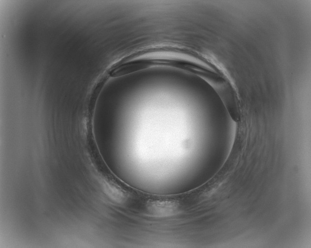 X0000070390063200606091202