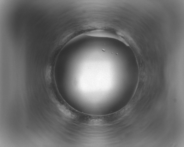 X0000070390066200606091202