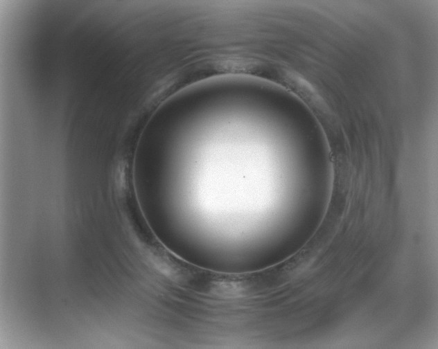 X0000070390071200606091202