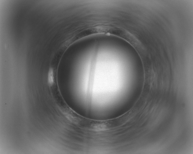 X0000070390075200606091202