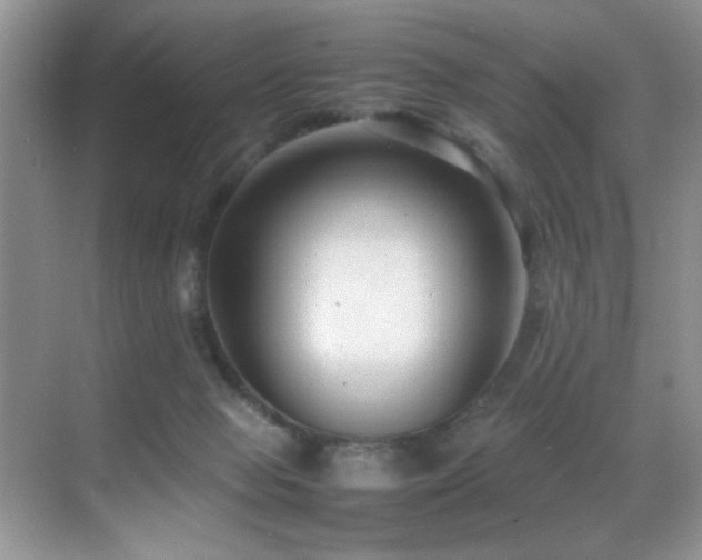 X0000070390077200606091202