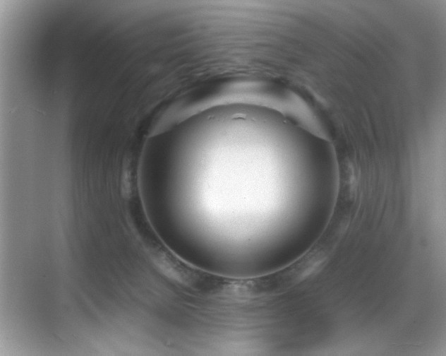 X0000070390080200606091202