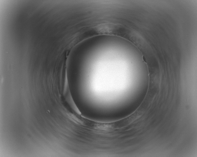 X0000070390081200606091202