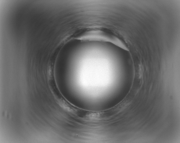 X0000070390084200606091202