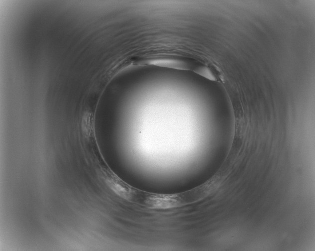 X0000070390093200606091203