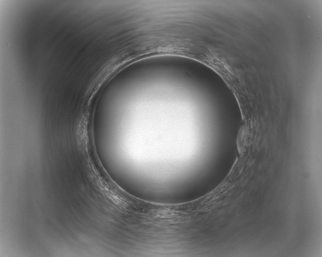 X0000070390098200606091202