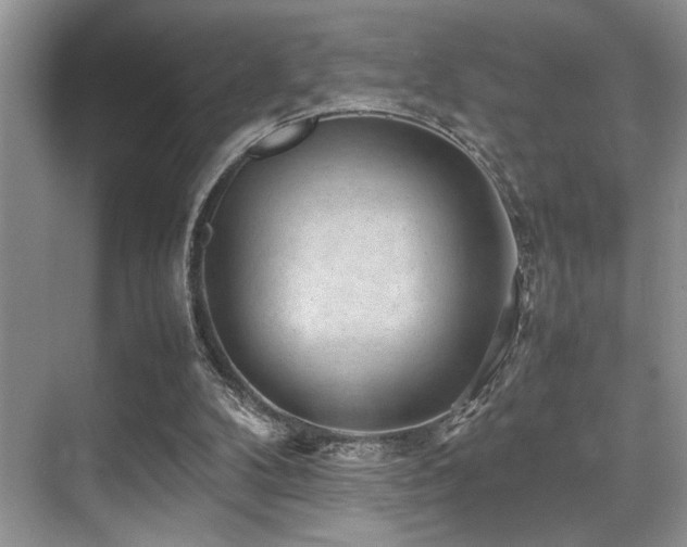 X0000070390104200606091202
