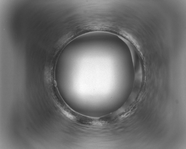 X0000070390105200606091202
