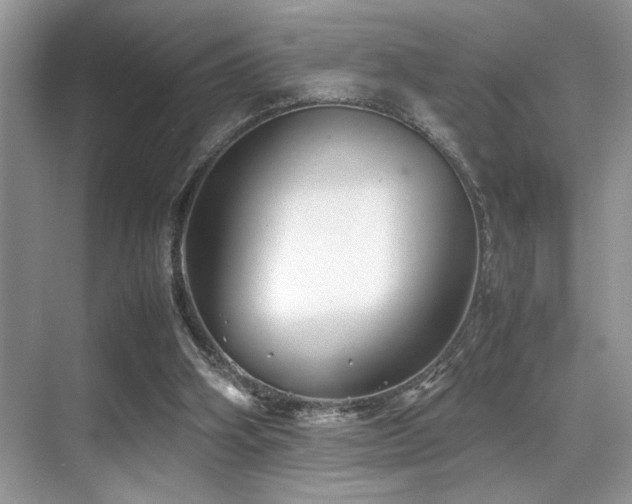 X0000070390106200606091202