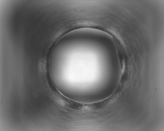 X0000070390111200606091202