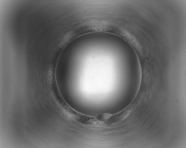 X0000070390113200606091201