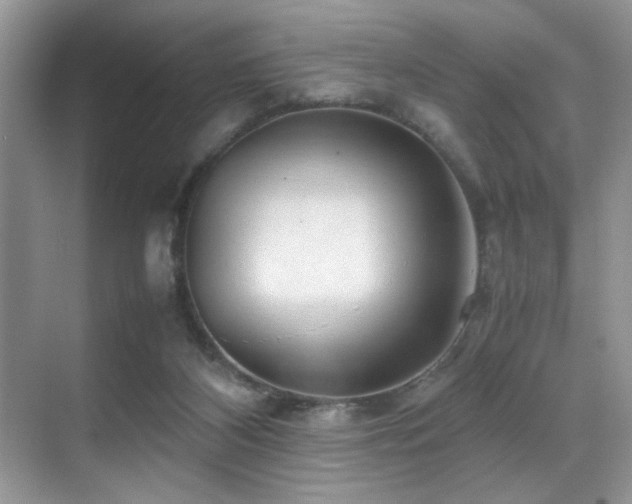 X0000070390116200606091201