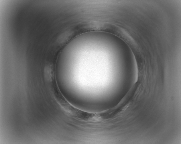 X0000070390119200606091201