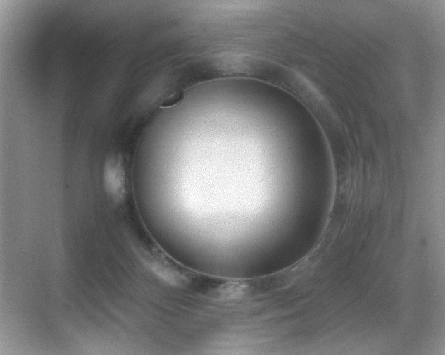 X0000070390124200606091201