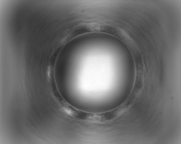 X0000070390125200606091201