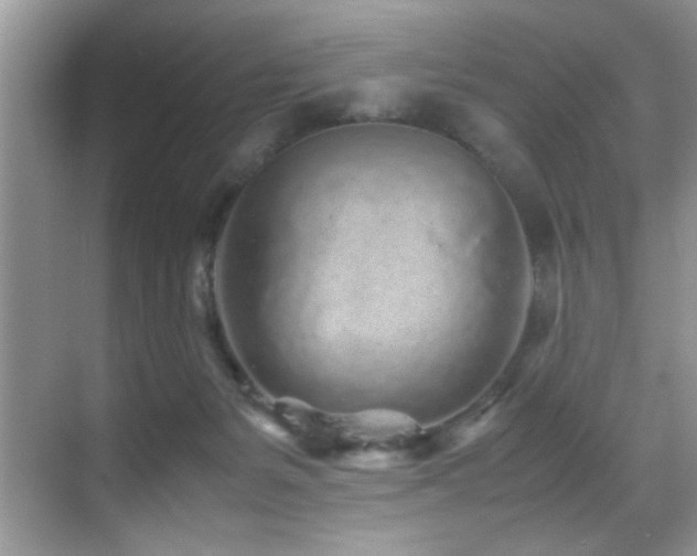 X0000070390127200606091201