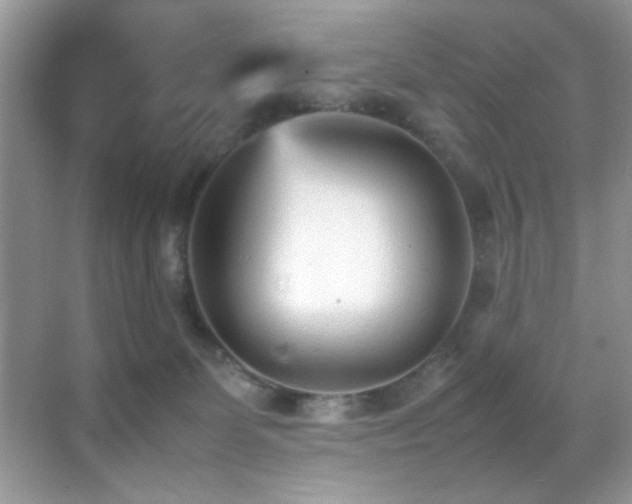 X0000070390131200606091201