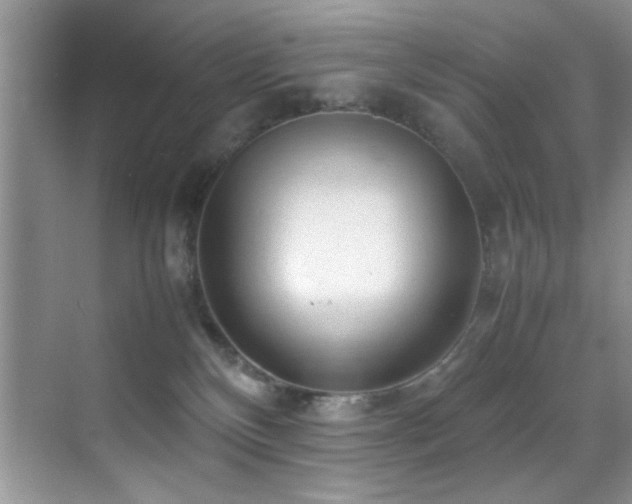 X0000070390136200606091201