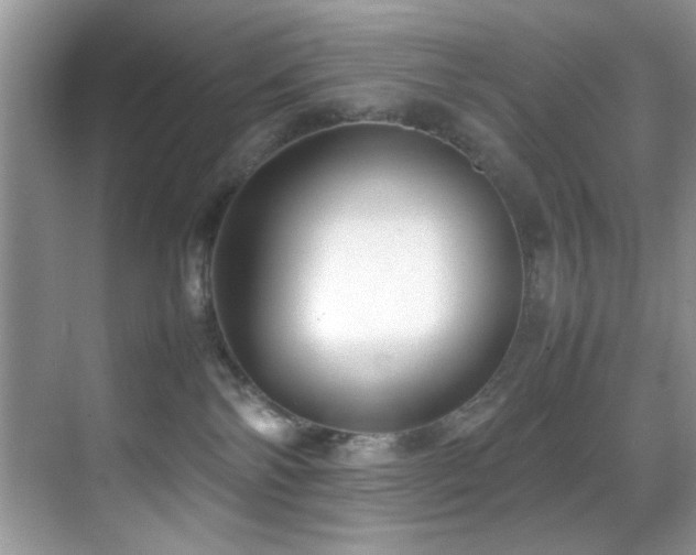 X0000070390138200606091201