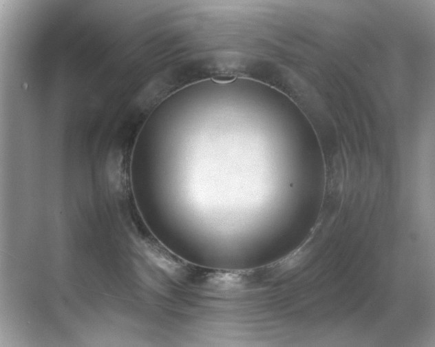 X0000070390140200606091201