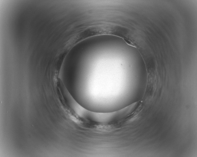 X0000070390141200606091201