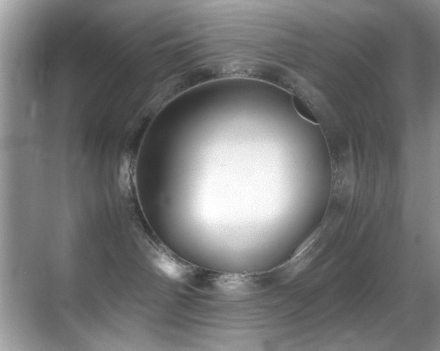 X0000070390142200606091201