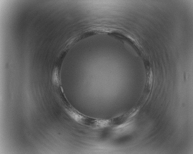 X0000070390143200606091201