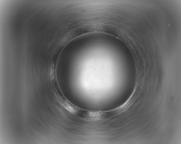 X0000070390144200606091201