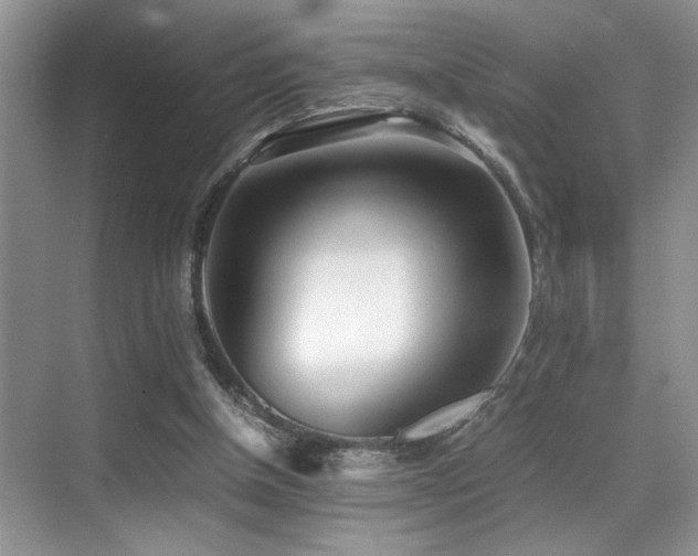X0000070390154200606091200