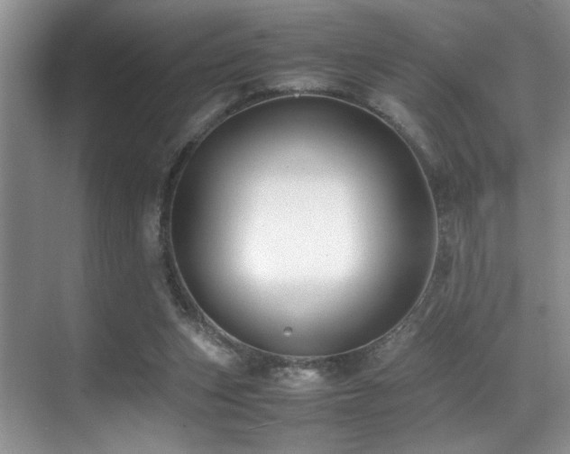 X0000070390159200606091200