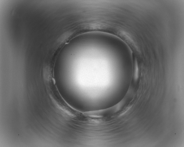 X0000070390164200606091200