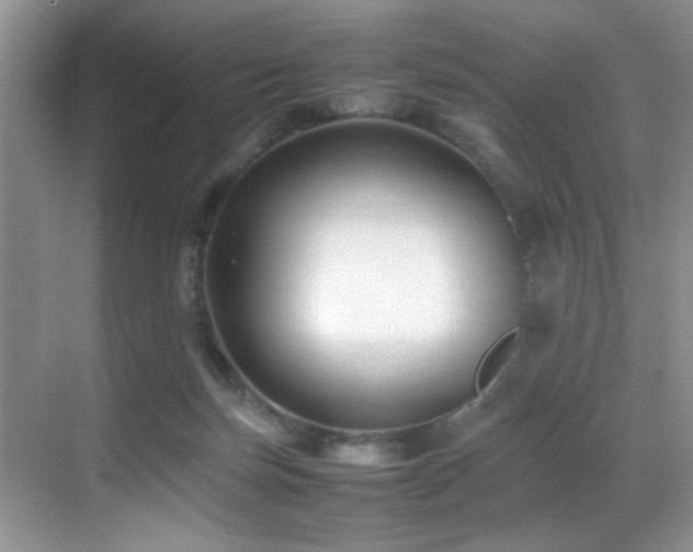 X0000070390171200606091201