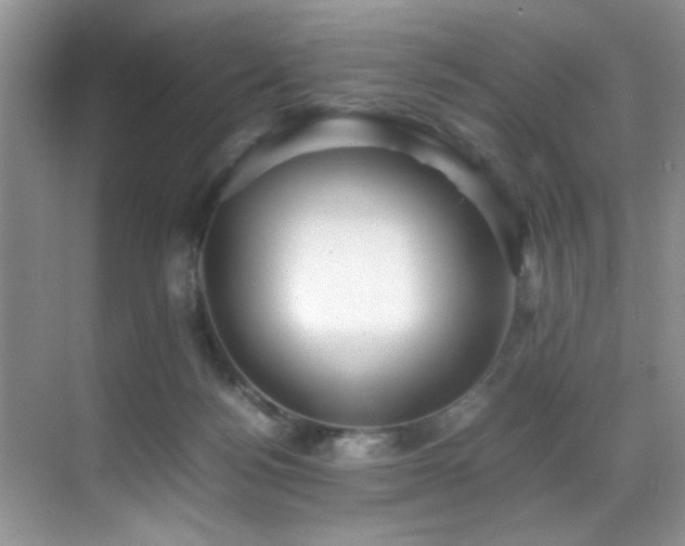X0000070390172200606091201