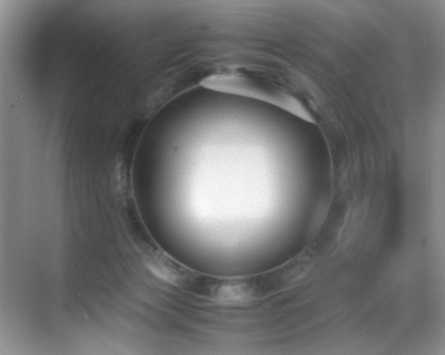 X0000070390173200606091201
