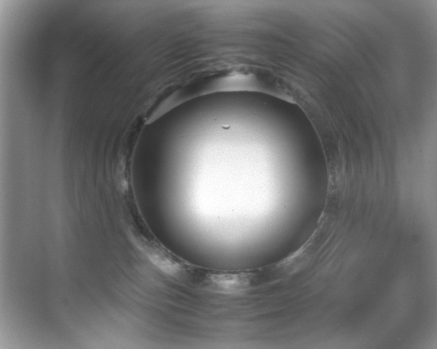 X0000070390187200606091201