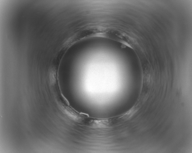 X0000070390188200606091201