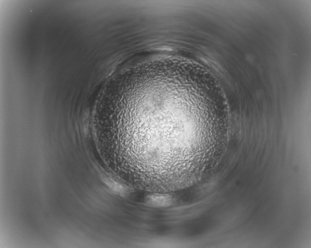 X0000070390189200606091201