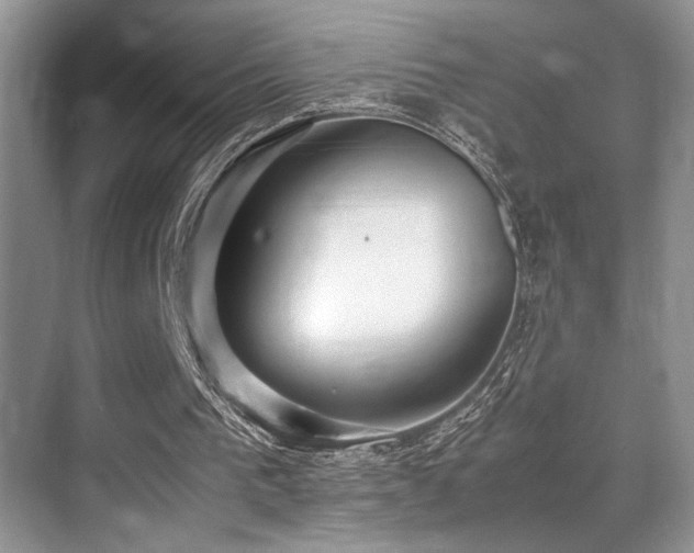 X0000070390193200606091200
