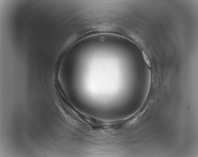 X0000070390201200606091200
