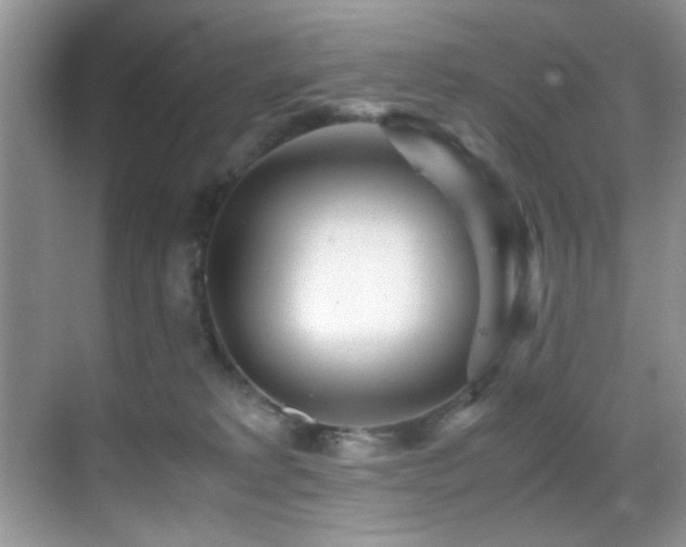 X0000070390229200606091159