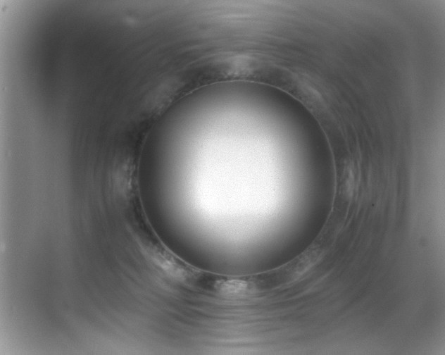 X0000070390230200606091159
