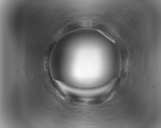X0000070390233200606091159