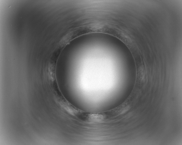X0000070390234200606091159