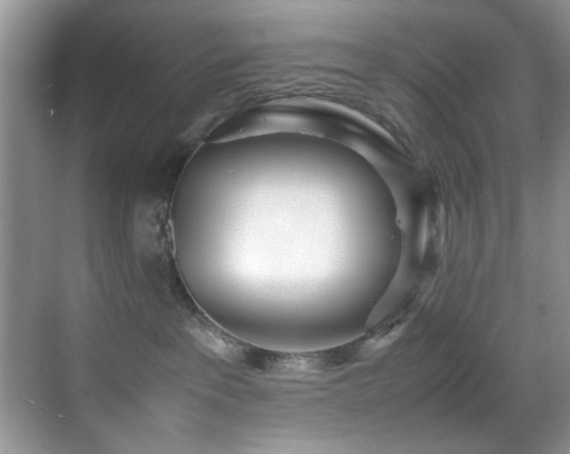 X0000070390237200606091159